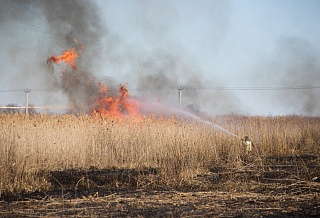 С начала года на Дону произошло уже почти 200 ландшафтных пожаров 