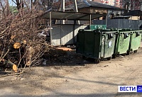 В Каменске-Шахтинском прокуратура через суд обязует местные власти установить ограждения вокруг мусорных площадок