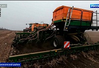 Под посев бобовых на Дону отвели более 600 тысяч гектаров