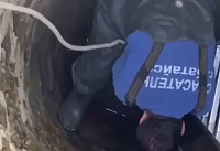 Из глубокого колодца в Батайске спасли большую дворнягу Из глубокого колодца в Батайске спасли большую дворнягу