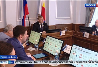Донские парламентарии приняли участие в реформе контрольно-надзорной деятельности