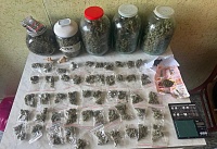 На Дону в одной из квартир обнаружили нарколабораторию с марихуаной
