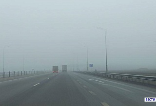 Донская госавтоинспекция предупреждает о возможном тумане на дорогах