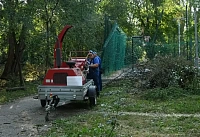 Александр Скрябин поручил коммунальным службам Ростова провести повторные обходы территорий для уборки веток после урагана