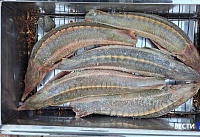 В Ростове изъяли немаркированную рыбу на 1,4 млн рублей