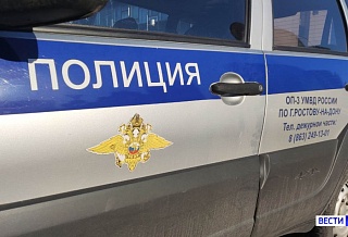 Пропавшую в Новочеркасске 16-летнюю Викторию нашли живой
