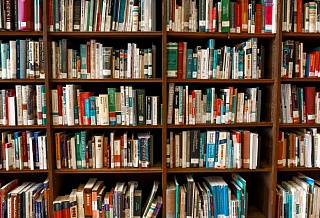 В Ростове отреставрируют более 30 книжных памятников