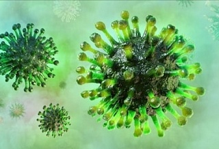 В Ростовской области растет количество заболевших коронавирусом