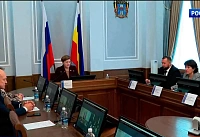 Донские парламентарии обменялись опытом в сфере здравоохранения с коллегами из Бурятии