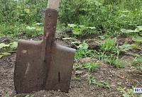 25 апреля жители Дона могут присоединиться к Всероссийскому субботнику