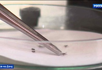 На Дону более 200 человек обратились за медпомощью после укусов клещей