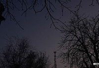 Около 40 БПЛА уничтожили ночью над Ростовской областью