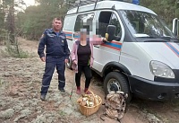 Жительница Шолоховского района залезла на вышку, чтобы ее нашли в лесу