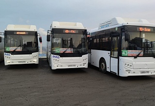 В Ростове увеличили вместимость автобусов на маршруте в Суворовский
