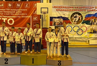 Ростовские тхэквондисты завоевали на турнире ЮФО 6 медалей