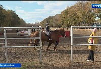 Суд вернул Ростовский ипподром в собственность государства