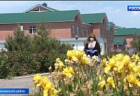 Для родителей отдыхающих в Крыму детей запустити горячую линию