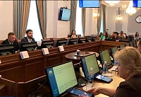 Инклюзивный туризм и День работников опеки обсудили донские депутаты