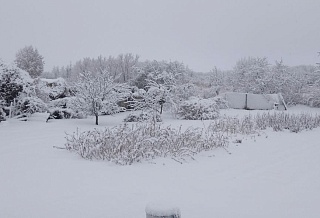 В первый день последнего месяца зимы северные районы Дона укутало снегом