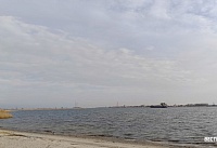 Водоемы Ростовской области проверили на безопасность: опасных вирусов не обнаружено