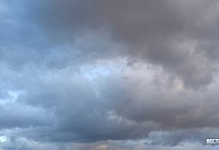 Прохладный пасмурный день сегодня прогнозируют на Дону