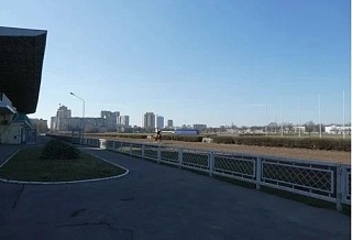Ростовский ипподром признали объектом культурного наследия