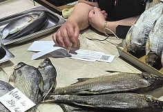 Более 37 кг немаркированной рыбной продукции изъяли на Центральном рынке Ростова