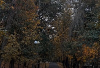 Климатическая осень наступила в Ростовской области