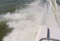 С 1 мая на Дону снимается запрет на вылов судака, тарани и плотвы