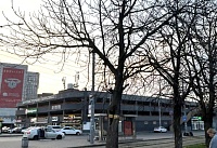 Почти три десятка каштанов уберут с Привокзальной площади Ростова