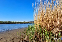 Тело утонувшего  56-летнего рыбака вытащили водолазы в Красносулинском районе