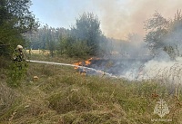 В Цимлянском районе продолжают тушить лесной пожар
