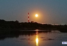 В Чертковском районе Ростовской области сбили беспилотник