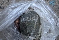 Более 100 граммов конопли изъяли у 65-летнего жителя Сальского района