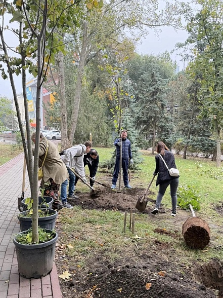 Don-TR