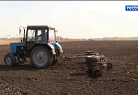 На Дону контролируют ситуацию с запасами топлива для аграриев
