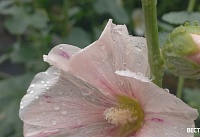 В Ростовской области потеплеет лишь к концу месяца