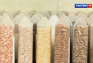 Эксперты приступили к оценке нового урожая “донского золота”