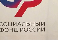 Узнать стаж и проверить документы: В Ростовской области сотрудники Социального фонда проводят консультации для будущих пенсионеров