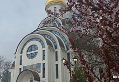 Донские православные отмечают Троицу