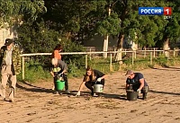 Кропотливо и вручную: ипподром Ростова приводят в порядок после урагана