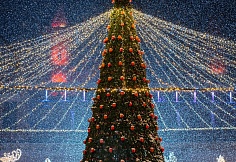 Парк «Лога» засиял новогодними огнями