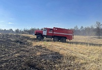 До 310 га увеличилась площадь пожара в Верхнедонском лесничестве