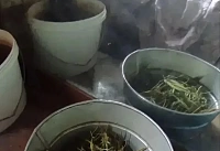 Отказался от медпроверки: на Дону задержали 43-летнего курильщика марихуаны