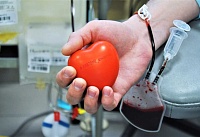 В Ростовской области стало на 70 почетных доноров больше