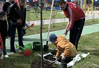 День древонасаждения прошёл в Ростове-на-Дону 