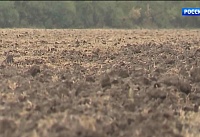 Более 40 эпизодов мошенничества организовали трое жителей Дона