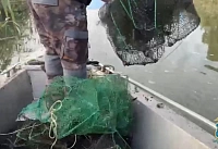 Браконьерское оборудование для незаконного вылова раков обнаружили в реке Дон