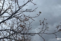 Сегодня в Ростовской области будет облачно, но без осадков