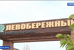 В донской столице пройдет Фестиваль ландшафтного искусства «Зелёный код»